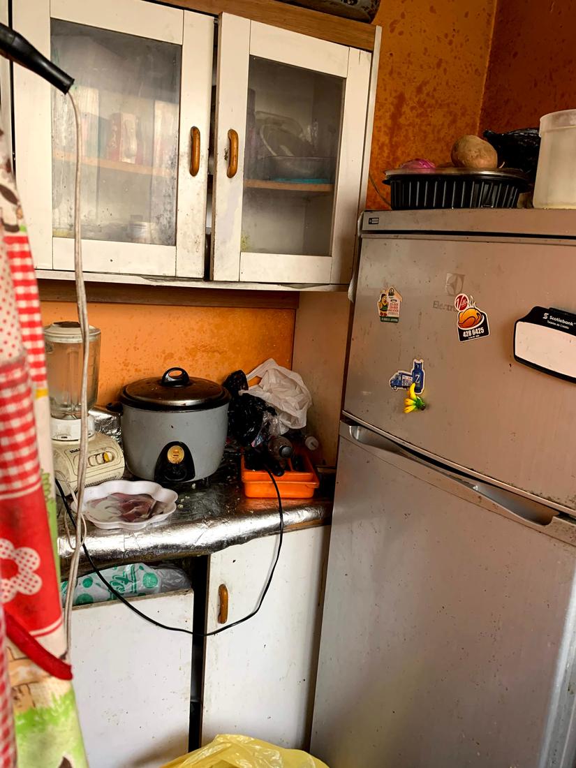 A kitchen corner with a rice cooker, blender and fridge against stained orange walls