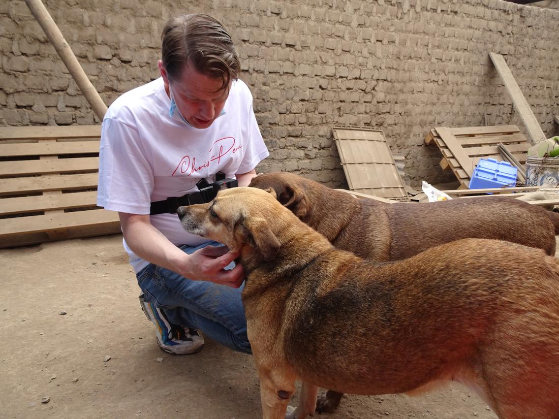 Chris crouching to scratch a dog under the chin